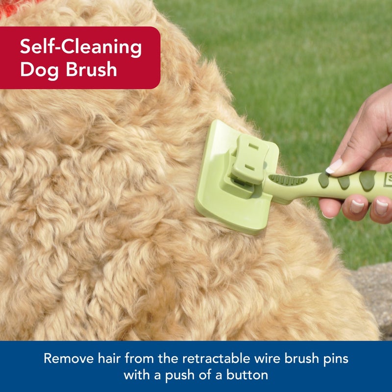 Coastal Pet Safari Dog Self-Cleaning Slicker Brush - Dog Deshedding Brush - Prevents Mats and Tangled Hair - For Dogs with Short or Long Hair - Medium - 4.25" x 4.06" - Image 3