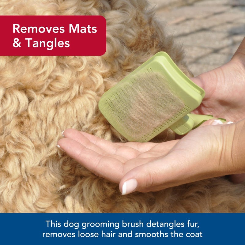 Coastal Pet Safari Dog Self-Cleaning Slicker Brush - Dog Deshedding Brush - Prevents Mats and Tangled Hair - For Dogs with Short or Long Hair - Medium - 4.25" x 4.06" - Image 4