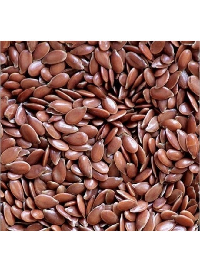 Dalthamman Premium flax seeds organic | Whole Raw Flaxseeds Diet Snack food Vegetarian & Vegan Friendly | Natural Plant-Based Ingredient | Resealable Pack for Freshness-250gm - Image 2
