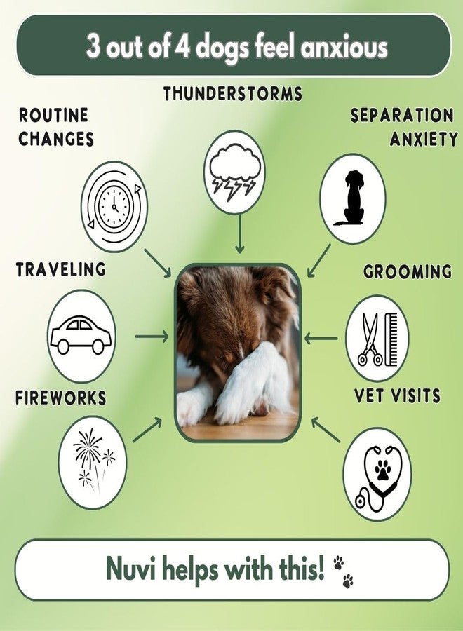 Nuvi Calming Chews for Dogs - Anxiety & Stress Relief Soft Chews | Non-Drowsy, Vet-Recommended Ingredients | Separation Anxiety, Fireworks, Travel | 90 Count - Image 3