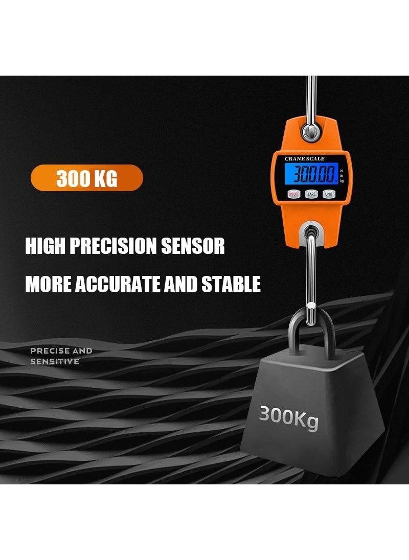 Plt Power 300 kg Capacity Complete Steel Crane Calaskar Scale-2 Years Warranty  - Image 2