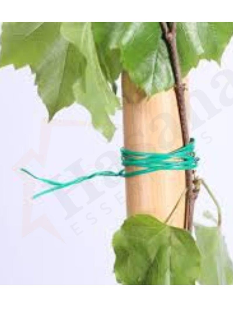 Hasanat Essentials Garden Twine Vegetable Plant Tie Binder Cord Plant Fixing Twisted String Reel 40 Meter - Image 3