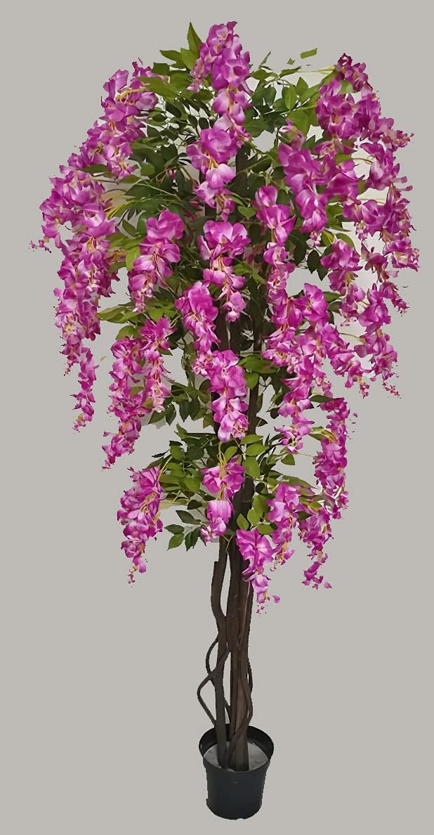 AMERIQUE Blooming Amid Leaves Gorgeous  Unique 6 Feet PrePotted Artificial Wisteria Tree with Flowers Feel Real Technology 6 Purple Red and Green - Image 1
