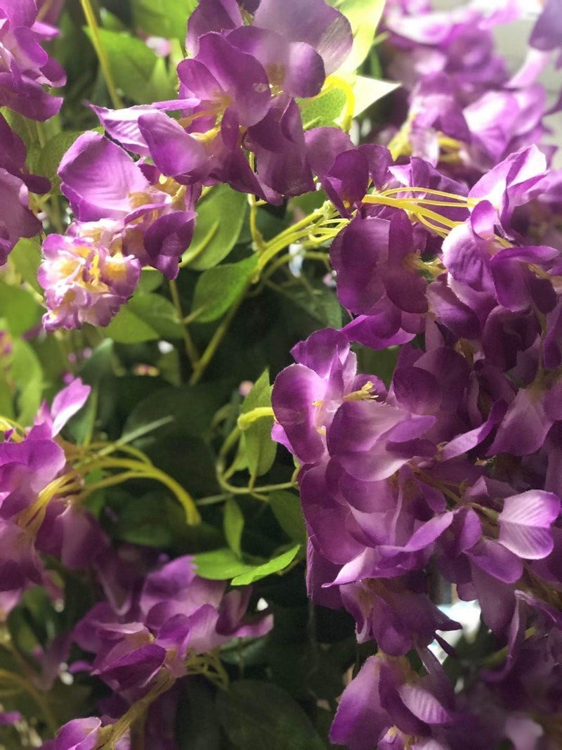 AMERIQUE Blooming Amid Leaves Gorgeous  Unique 6 Feet PrePotted Artificial Wisteria Tree with Flowers Feel Real Technology 6 Purple Red and Green - Image 2
