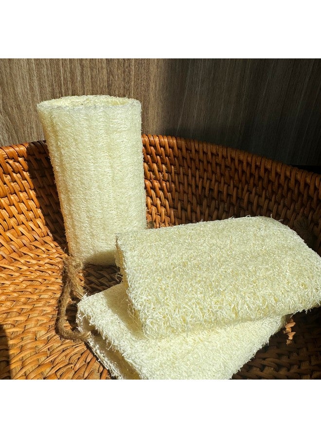 JINS-Hung 4" Natural Loofah Exfoliating Body Sponge Scrubber For Skin Care In Bath Spa Shower Pack Of 24 - Image 2