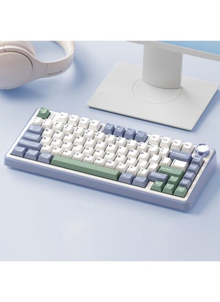 AULA F75 80 Keys Wired/2.4G/Bluetooth Three Model Customized RGB Mechanical Keyboard(Snow Spruce Green) - pzsku/Z1BBC338E0E8801F9FE7DZ/45/_/1734483207/ba26ed3e-663a-4137-9927-20e14e0ddd0d