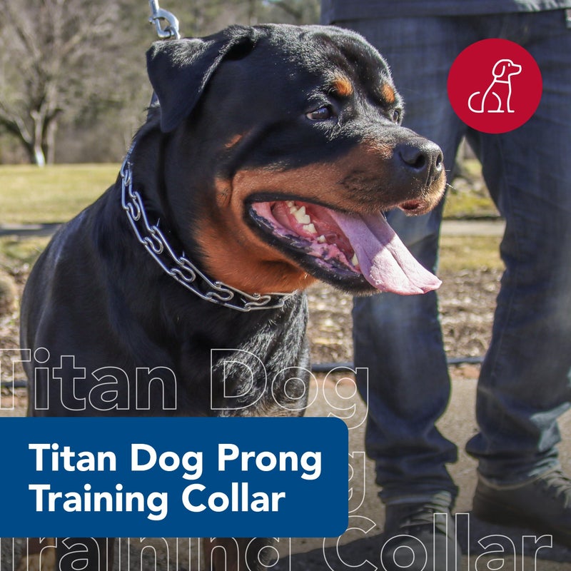 Coastal Pet Titan Dog Prong Training Collar - Rust-Resistant and Prong Metal Training Chain Collar for Dogs - Quality Supplies - 3.3 mm x 20" - Image 2