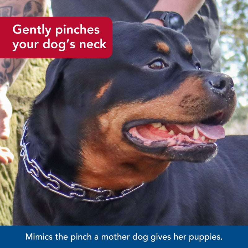 Coastal Pet Titan Dog Prong Training Collar - Rust-Resistant and Prong Metal Training Chain Collar for Dogs - Quality Supplies - 3.3 mm x 20" - Image 5