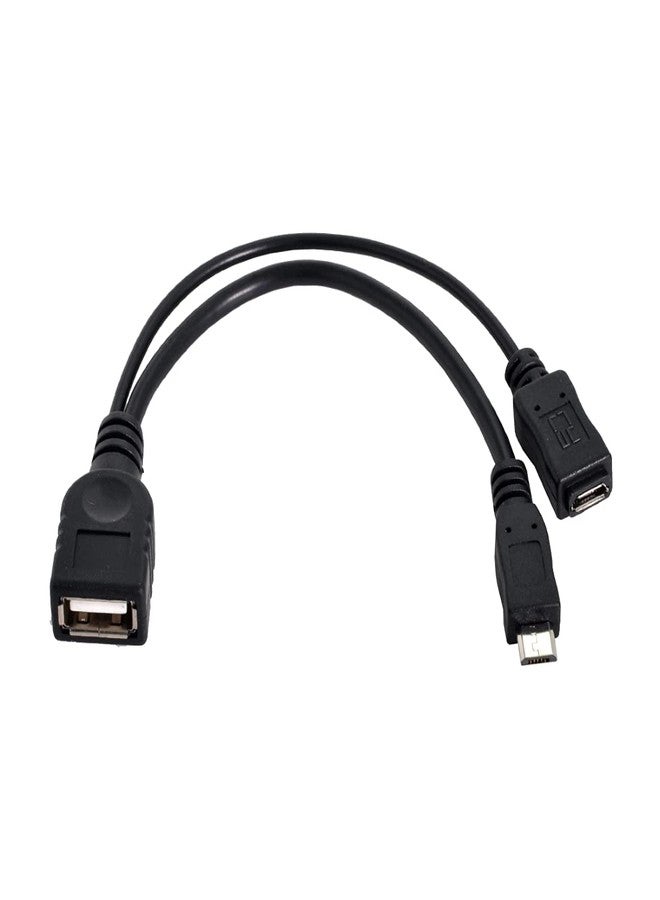 chenyang Micro USB Male to USB 2.0 Female OTG Cable with Micro USB Auxiliary Power Supply(can only Charge External Devices) - Image 1