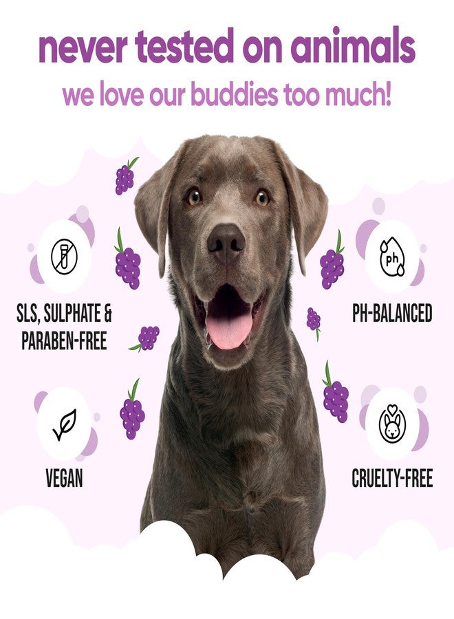 Buddycare Grape Dog Shampoo by Buddycare | Shampoo for Smelly Dogs from 8 Weeks | Grape Scented Puppy Shampoo with Aloe Vera & Pro Vitamin B5 (33.80oz) - Image 5