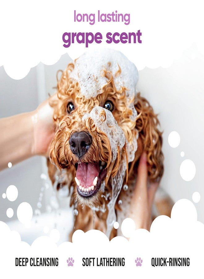 Buddycare Grape Dog Shampoo by Buddycare | Shampoo for Smelly Dogs from 8 Weeks | Grape Scented Puppy Shampoo with Aloe Vera & Pro Vitamin B5 (33.80oz) - Image 4