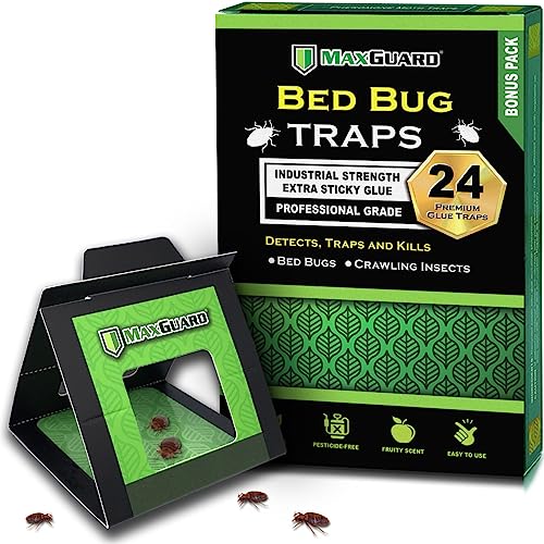 MaxGuard Bed Bug Traps (24 Traps) Non-Toxic Bed Bug Detection Traps. Detects, Traps, and Kills Bed Bugs and Crawling Insects Such as Spiders, Crickets, Cockroaches and Ants - Image 1