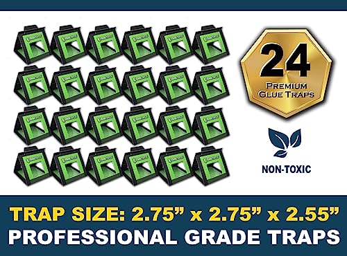 MaxGuard Bed Bug Traps (24 Traps) Non-Toxic Bed Bug Detection Traps. Detects, Traps, and Kills Bed Bugs and Crawling Insects Such as Spiders, Crickets, Cockroaches and Ants - Image 3