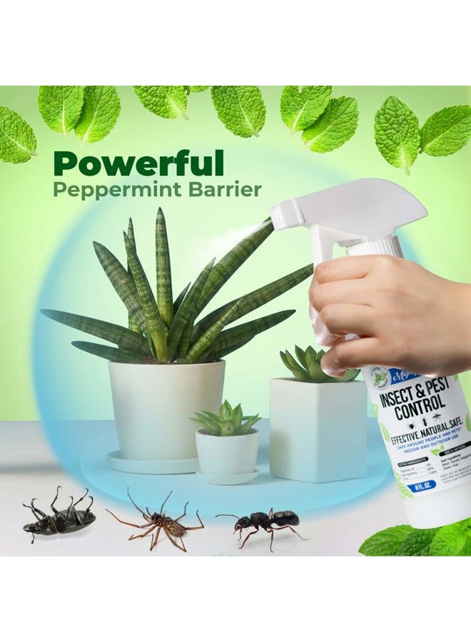 Mighty Mint 8oz Insect and Pest Control Peppermint Oil - Natural Spray for Spiders, Ants, and More (2) - Image 3