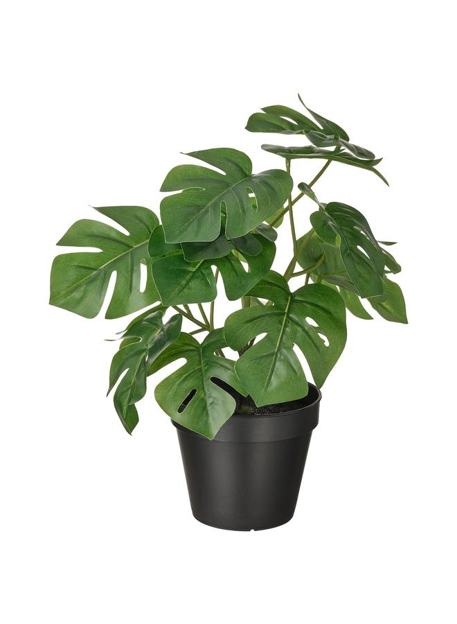 Zaboon Artificial Potted Plant, In/Outdoor Monstera, 12 Cm - Image 1