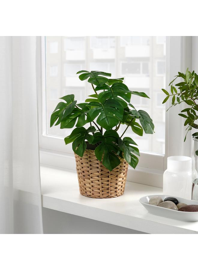 Zaboon Artificial Potted Plant, In/Outdoor Monstera, 12 Cm - Image 2