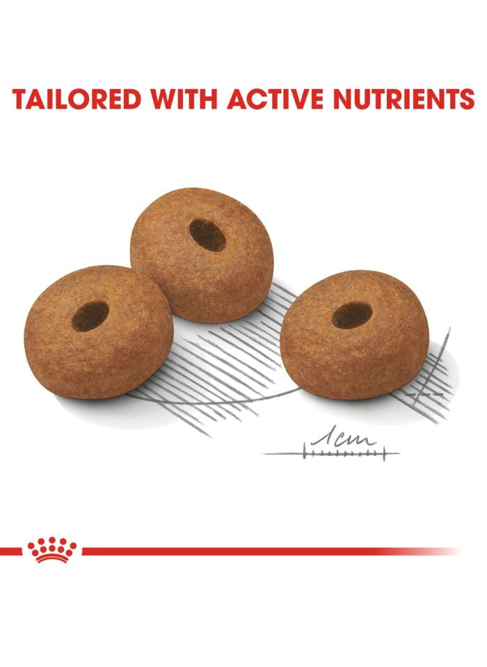 ROYAL CANIN رعاية الكلاب للتغذية ماكسي لايت ويغت كير 12 كجم - Image 2