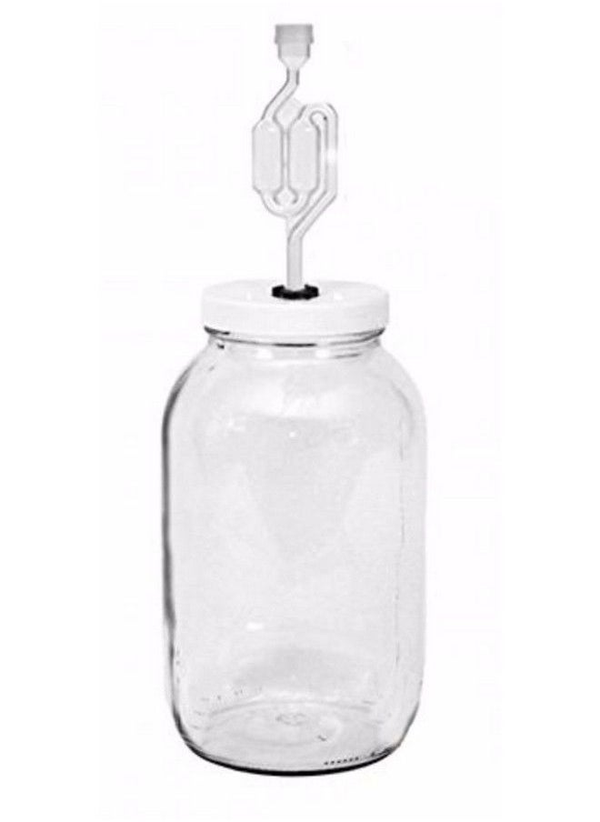 4Xqad4R06S One Gal Wide Mouth Jar With Lid And Twin Bubble Airlock Clear - pzsku/Z1BC3E5480E849523A3CEZ/45/_/1686212526/b660f337-55ec-4dec-8673-813314b952f4