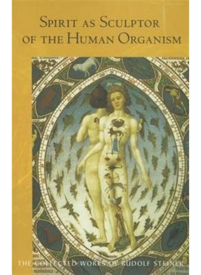 Spirit as Sculptor of the Human Organism - Paperback