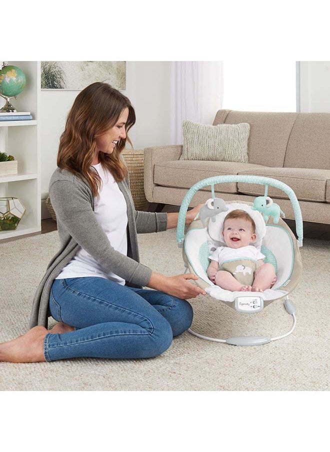 Cradling Seat Baby Bouncer - Whitaker - pzsku/Z1BC4E663278F3934C1F6Z/45/_/1715941425/248873fc-ee63-4baa-a82c-f15848d11d8b