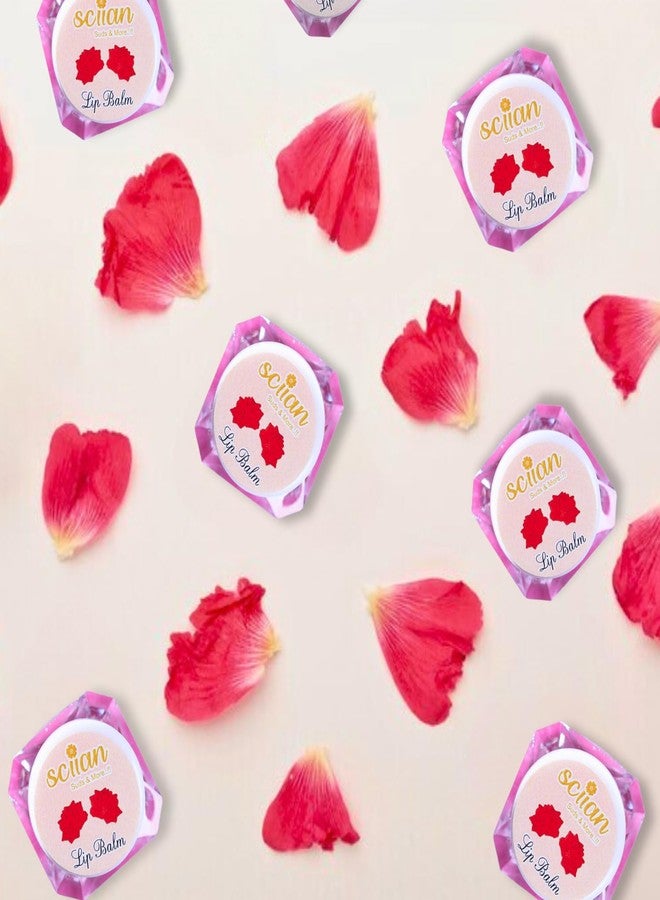 SCIIAN Rose Lip Balm for Naturally Glowing and Hydrated Lips 10 gm | Moisturizing Lip Balm | Lip Balm for Dry Lips | Lip Balm for Women | Lip Balm for Dark Lips to Lighten | Lip Balm with spf | Pack of 1 - Image 3