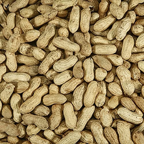 Kaytee Whole Peanuts in Shell for Cardinals, Blue Jays, Woodpeckers and Other Outside Wild Birds, Two 5 Pound Bags - Image 3
