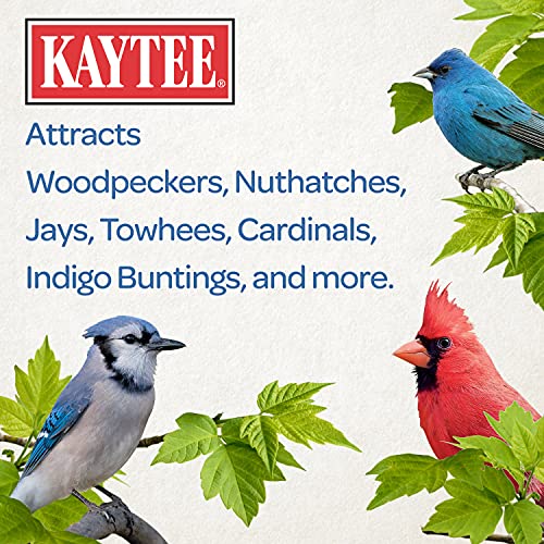 Kaytee Whole Peanuts in Shell for Cardinals, Blue Jays, Woodpeckers and Other Outside Wild Birds, Two 5 Pound Bags - Image 4