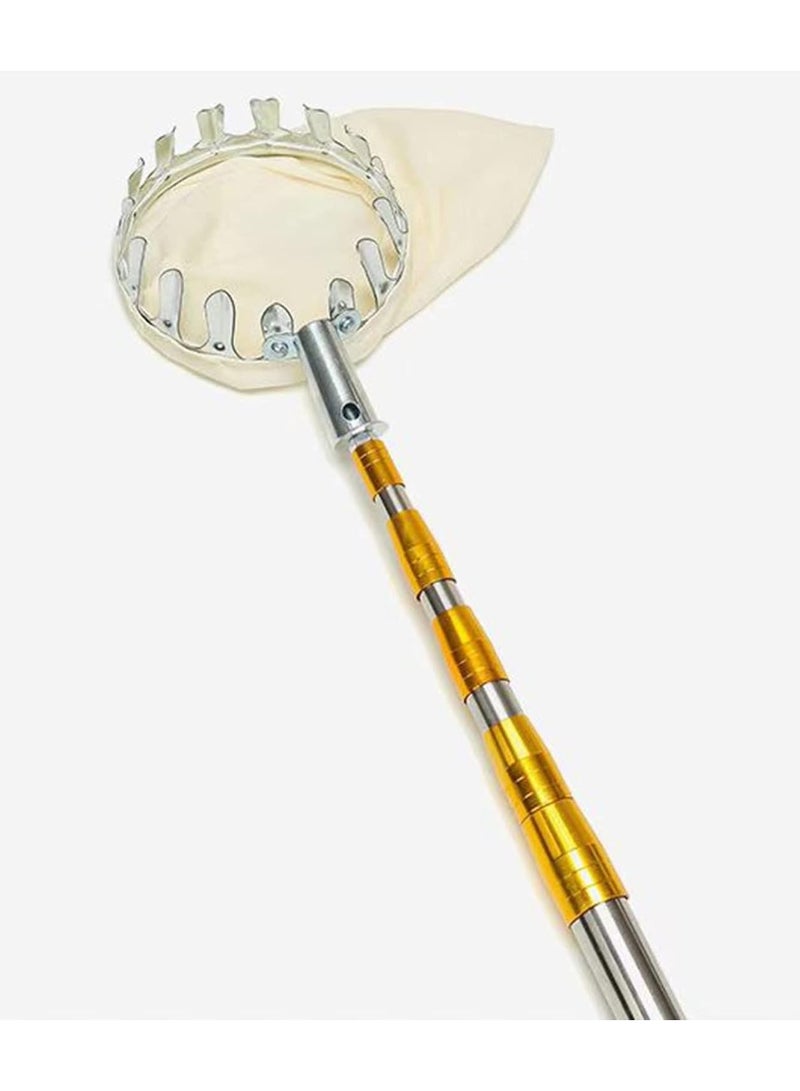 DubaiGallery Agricultural Garden Hardware Tools 5meter Apple picker Fruit Picker Pole with Basket Telescoping Portable Fruit Picker - Image 2