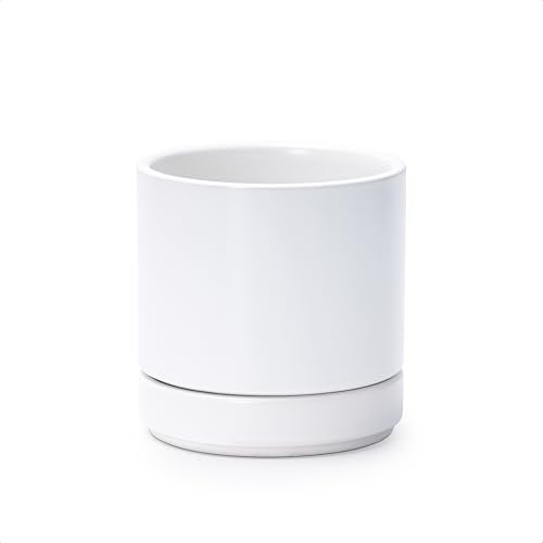 D'vine Dev 4.7 Inch Ceramic Planter Pot with Drainage Hole and Saucer, Indoor Cylinder Round Planter Pot, White, 94-O-B-1 - Image 1