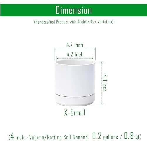 D'vine Dev 4.7 Inch Ceramic Planter Pot with Drainage Hole and Saucer, Indoor Cylinder Round Planter Pot, White, 94-O-B-1 - Image 3