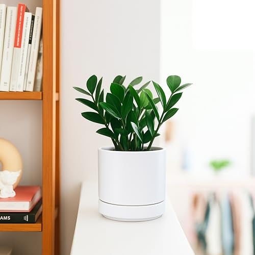 D'vine Dev 4.7 Inch Ceramic Planter Pot with Drainage Hole and Saucer, Indoor Cylinder Round Planter Pot, White, 94-O-B-1 - Image 2