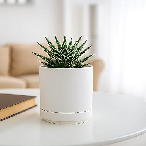 D'vine Dev 4.7 Inch Ceramic Planter Pot with Drainage Hole and Saucer, Indoor Cylinder Round Planter Pot, White, 94-O-B-1 - Image 5