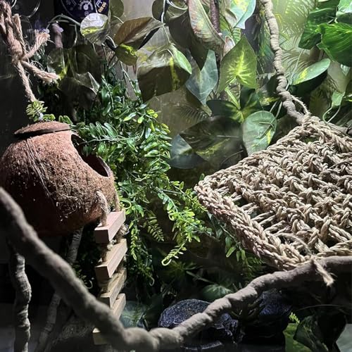 MUYG 5PCS Coconut Hut for Gecko Lizard Coco Den with Ladder and Reptile Hammock Bearded Dragon Tank Accessories Climbing Hanging Plants Jungle Vine Flexible Reptile Leaves Decor - Image 3