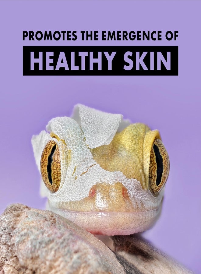 زيلا حوض استحمام زيلا شيد-إيز للزواحف، داعم لعملية الانسلاخ وحوض استحمام نافذ لجميع السحالي والثعابين - Image 5