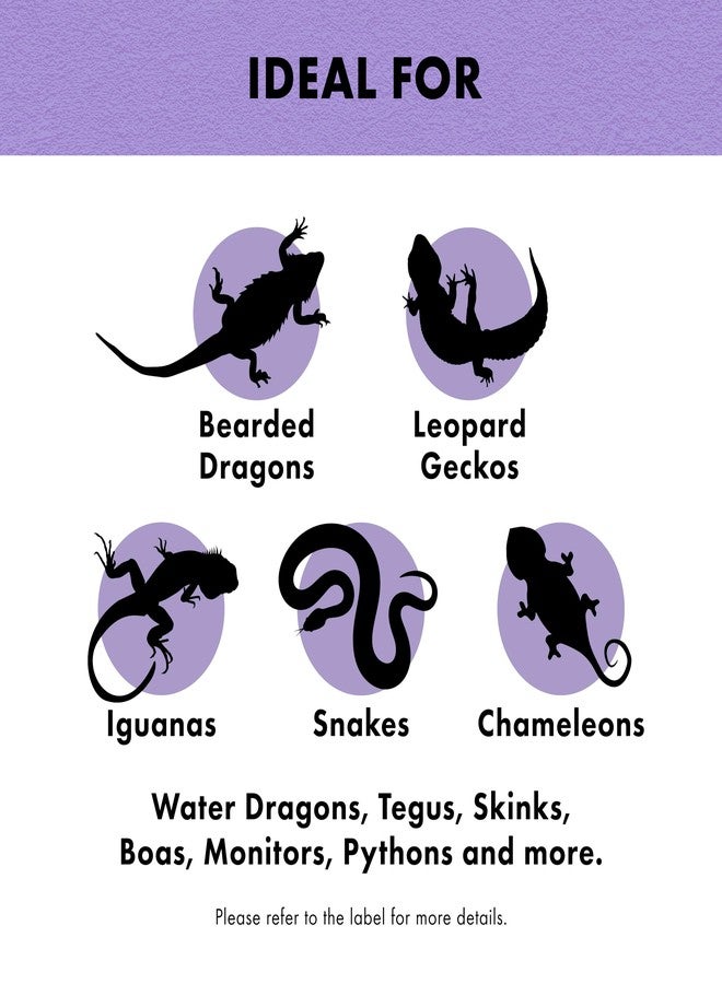 زيلا حوض استحمام زيلا شيد-إيز للزواحف، داعم لعملية الانسلاخ وحوض استحمام نافذ لجميع السحالي والثعابين - Image 4