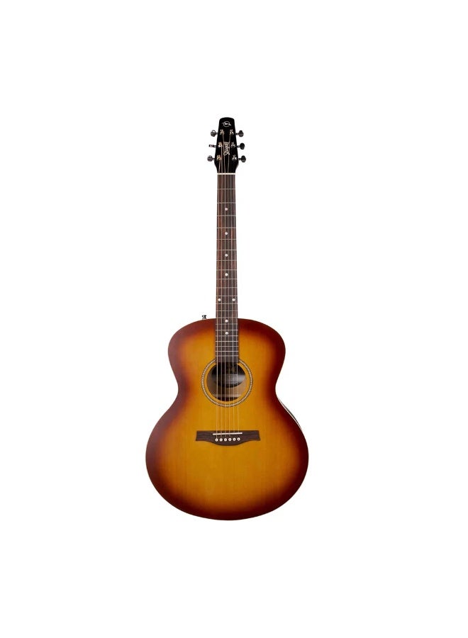Seagull Entourage MJ Rustic Burst