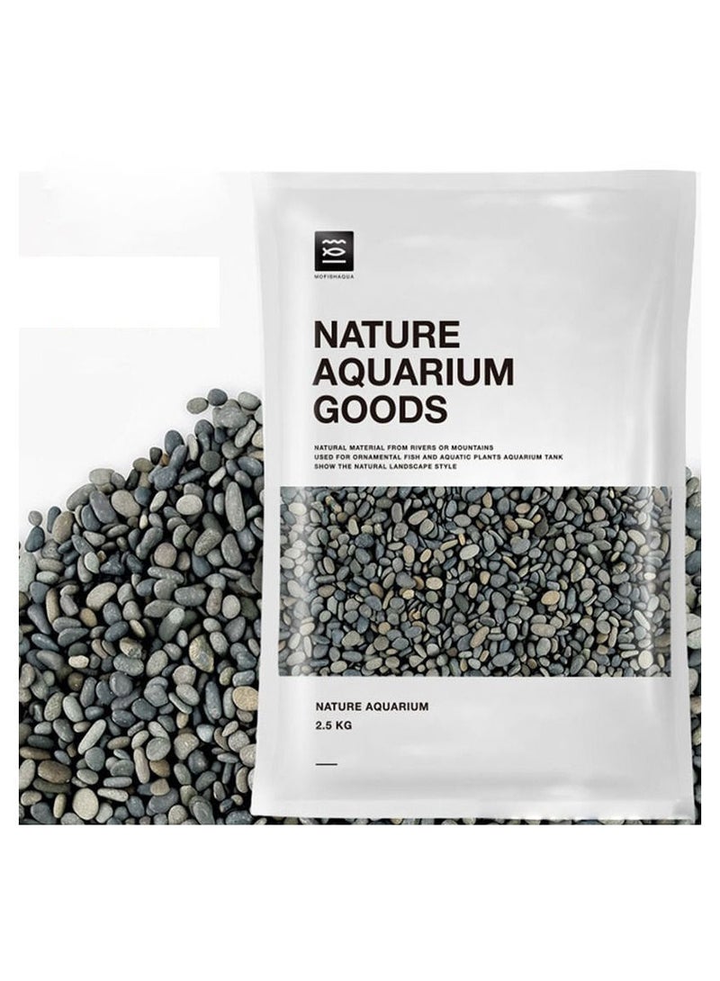 Aquarium Gravel For Decor 2.5KG - Image 1