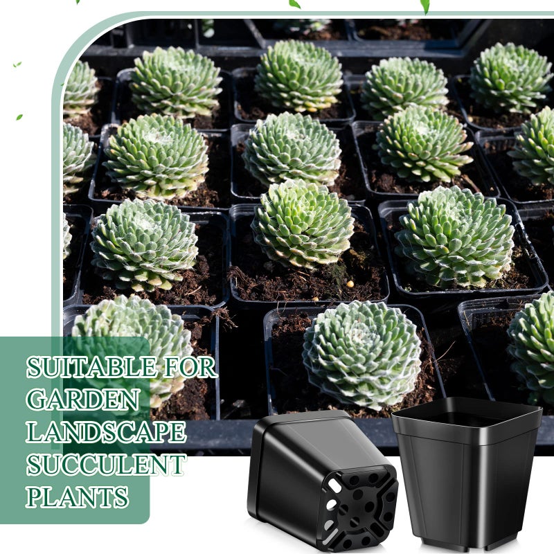 Nuanchu 500 Pack 2 Inch Square Nursery Pots, Small Plastic Seedling Pots with Drainage Holes, Mini Planting Planters for Garden Outdoor Indoor Flower Succulent Vegetable Starting Seedlings, Black - Image 4