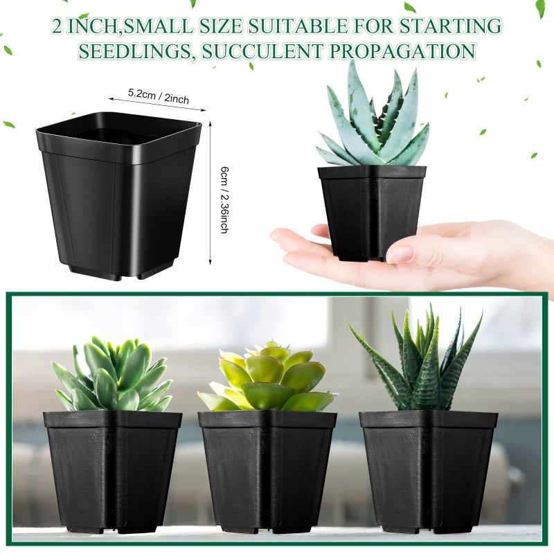 Nuanchu 500 Pack 2 Inch Square Nursery Pots, Small Plastic Seedling Pots with Drainage Holes, Mini Planting Planters for Garden Outdoor Indoor Flower Succulent Vegetable Starting Seedlings, Black - Image 2