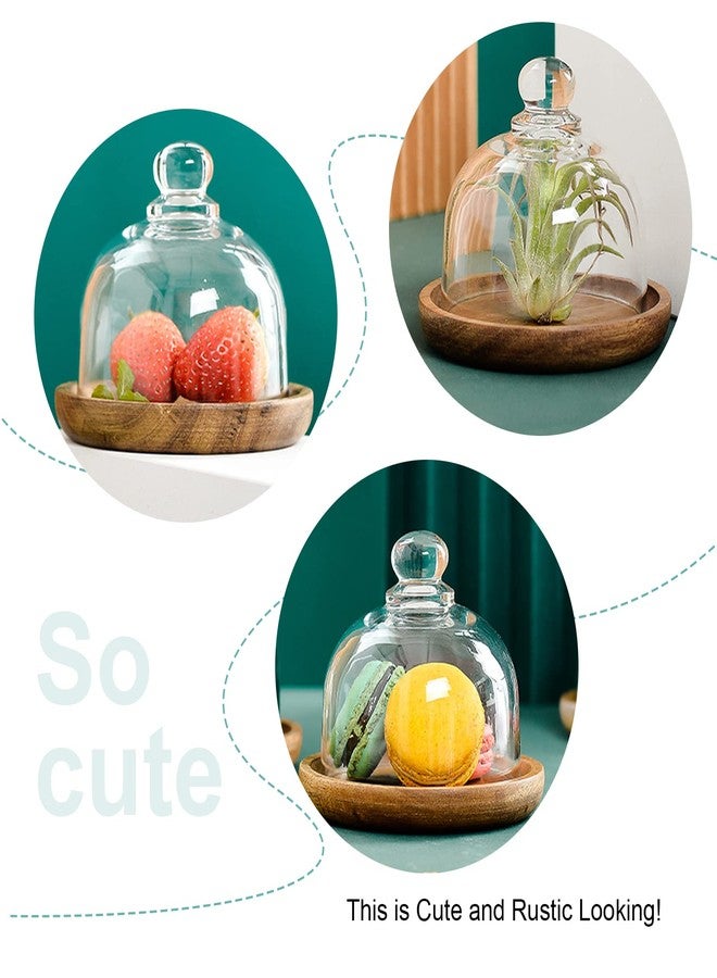 DUZFOREI عبوة من قطعتين من قبة زجاجية بقاعدة خشبية من دوزفوري، حامل كيك صغير بقطر 3.4 بوصة، غطاء زجاجي شفاف على شكل جرس لعرض الحلويات والجبن والنباتات العصارية - Image 4