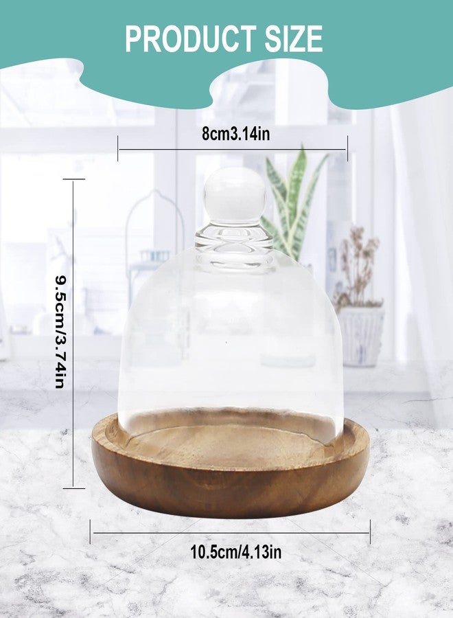 DUZFOREI عبوة من قطعتين من قبة زجاجية بقاعدة خشبية من دوزفوري، حامل كيك صغير بقطر 3.4 بوصة، غطاء زجاجي شفاف على شكل جرس لعرض الحلويات والجبن والنباتات العصارية - Image 2