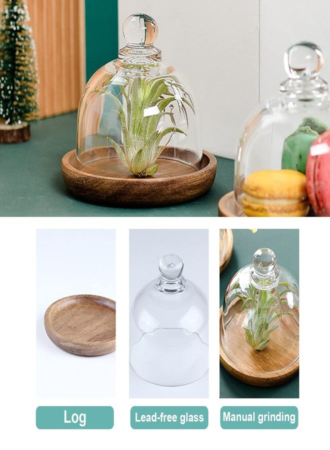 DUZFOREI عبوة من قطعتين من قبة زجاجية بقاعدة خشبية من دوزفوري، حامل كيك صغير بقطر 3.4 بوصة، غطاء زجاجي شفاف على شكل جرس لعرض الحلويات والجبن والنباتات العصارية - Image 3