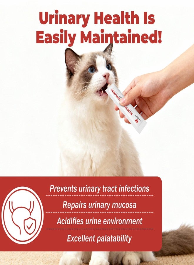 VivaElixir Cat UTI Treatment & Kidney Nutrition Supplement | Cranberry Powder for Cats | Low in Phosphorus & Salt | Supports Urinary Health | Easily Absorbed Protein | Suitable for Picky Cats - Bars 12g x 30 - Image 2