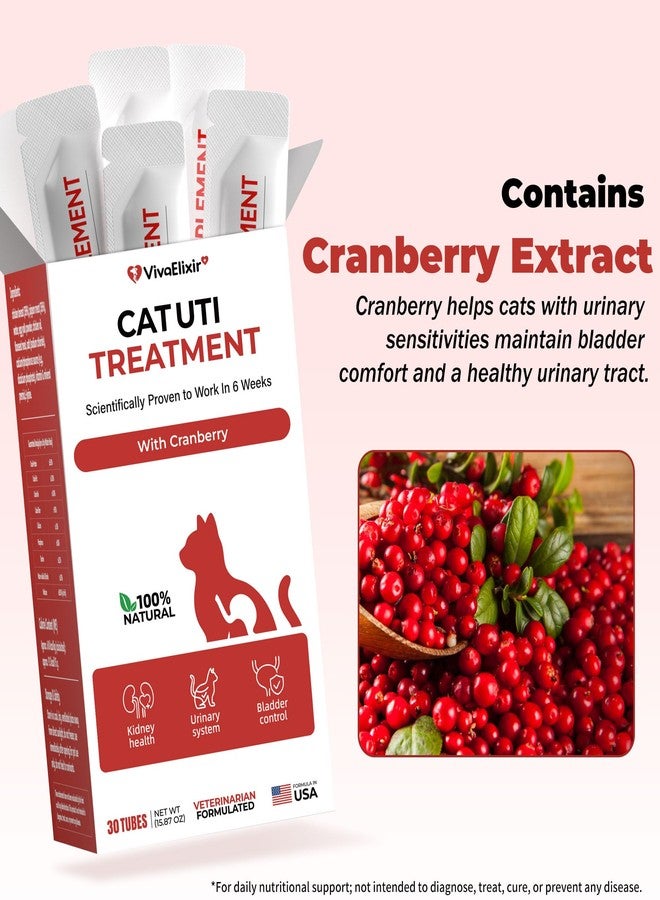 VivaElixir Cat UTI Treatment & Kidney Nutrition Supplement | Cranberry Powder for Cats | Low in Phosphorus & Salt | Supports Urinary Health | Easily Absorbed Protein | Suitable for Picky Cats - Bars 12g x 30 - Image 5
