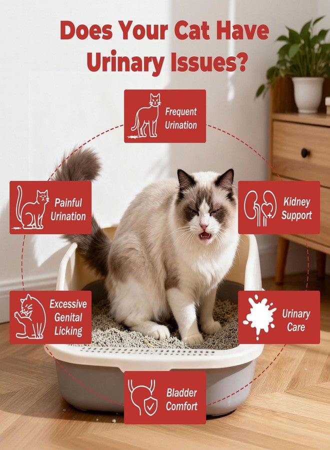 VivaElixir Cat UTI Treatment & Kidney Nutrition Supplement | Cranberry Powder for Cats | Low in Phosphorus & Salt | Supports Urinary Health | Easily Absorbed Protein | Suitable for Picky Cats - Bars 12g x 30 - Image 3