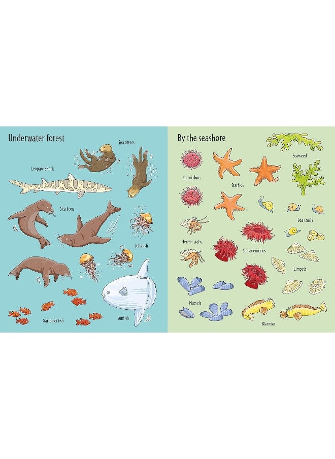 First Sticker Book Under the Sea  - Image 3