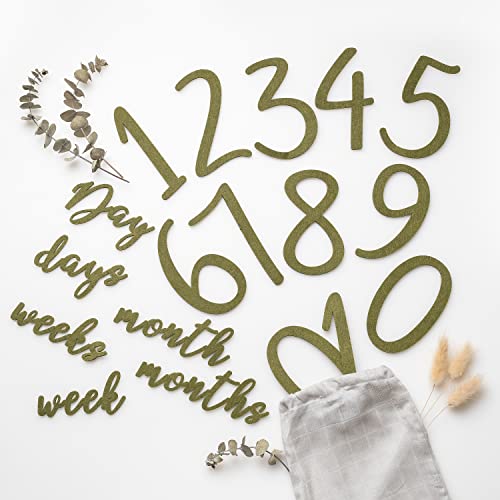Miaoberry 100% Organic Cotton Muslin Monthly Baby Milestone Blanket with Wooden Hello World Newborn Sign, Newborn Photography Props, Birth Announcement Sign, Woodland - Image 3