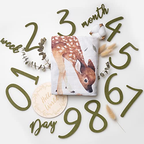 Miaoberry 100% Organic Cotton Muslin Monthly Baby Milestone Blanket with Wooden Hello World Newborn Sign, Newborn Photography Props, Birth Announcement Sign, Woodland - Image 1