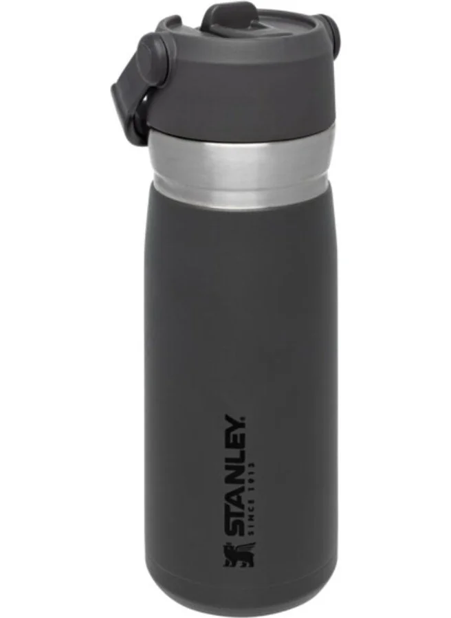 Stanley Go Iceflow Stainless Steel Cold Water Thermos with Straw 0.65 Lt