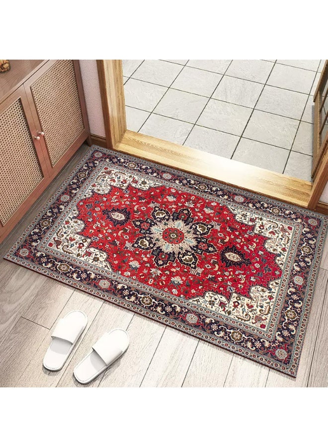آنا سجادة مدخل منزلية فاخرة مزخرفة بلمسة عتيقة ماصة للماء - Image 1